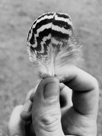 Close-up of hand holding leaf against blurred background