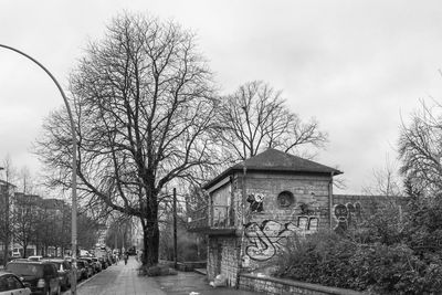 Bare trees by building against sky