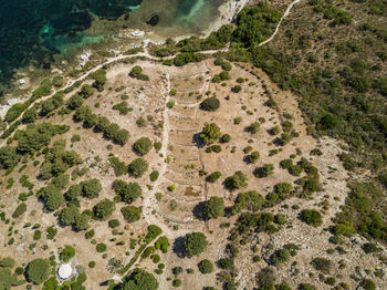 High angle view of land and sea