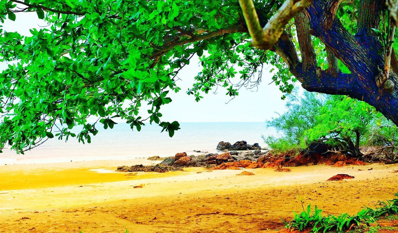 VIEW OF BEACH AGAINST SKY