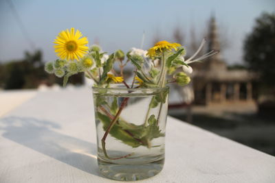 Close-up of drink on table