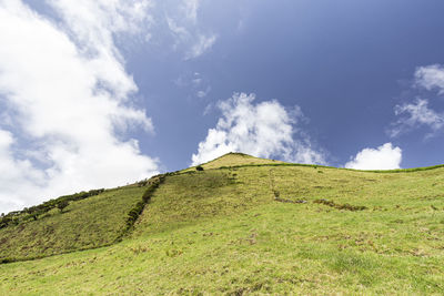 Low angle view of grassy field against sky