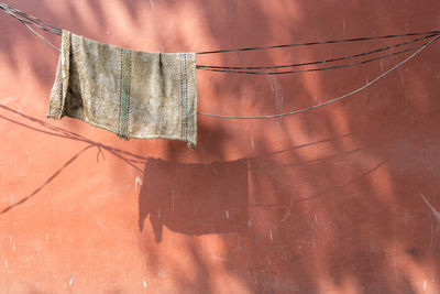 Close-up of spider web