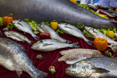 Fish for sale at market