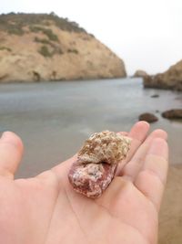 Close-up of hand holding rock