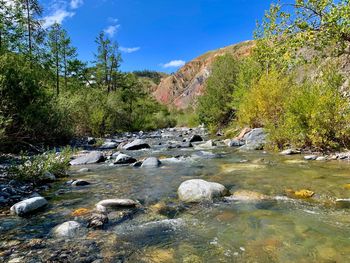 Stream amidst rocks and trees against sky