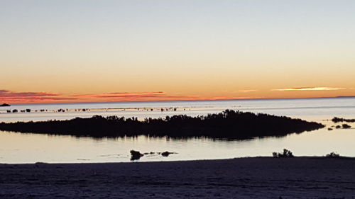 Silhouette birds on sea against sky during sunset