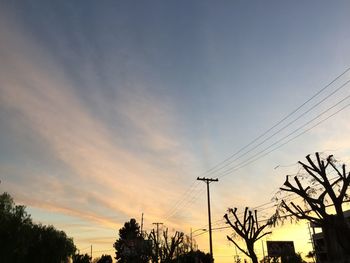 Low angle view of trees against sky