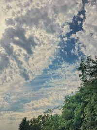 Low angle view of trees against sky