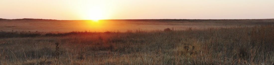 Scenic view of field against sky during sunset