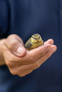 Man holding small bird in hand