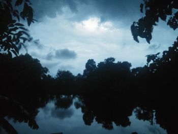 Low angle view of silhouette trees against sky