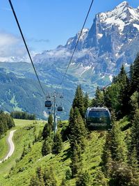 mountain range