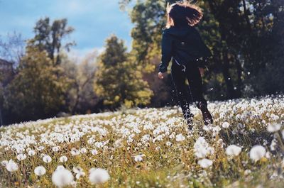 Rear view of woman running at dandelion field