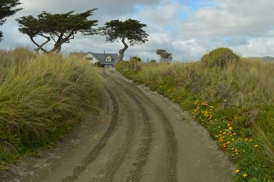 Road passing through field