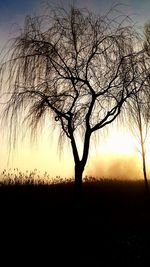 Silhouette of trees on landscape at sunset