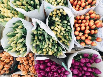 Full frame shot of fruits for sale