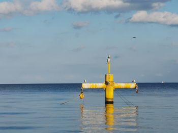 Seagulls gang on docking pole