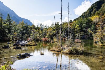 Scenic view of lake by trees against sky