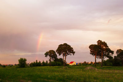  the rustic landscape with trees, colorful sky and rainbow at the sunset.