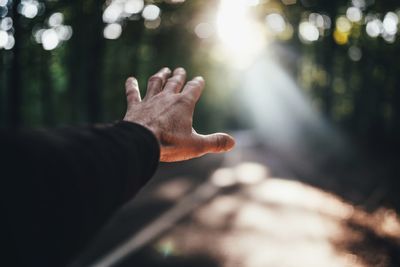 Cropped hand of man gesturing against sunlight streaming through trees in forest