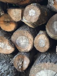 Full frame shot of logs