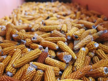 Close-up of fresh vegetables in market