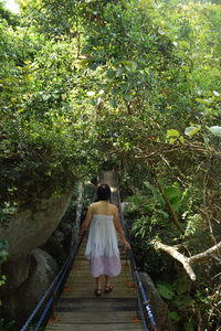 Rear view of woman standing by plants