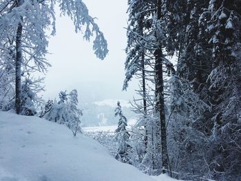 Scenic view of snow covered mountain