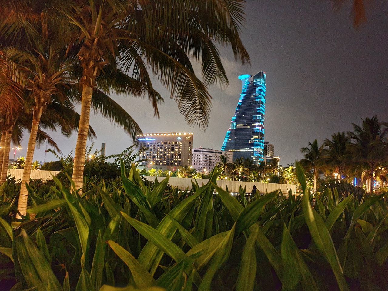 PANORAMIC VIEW OF MODERN BUILDINGS AT NIGHT