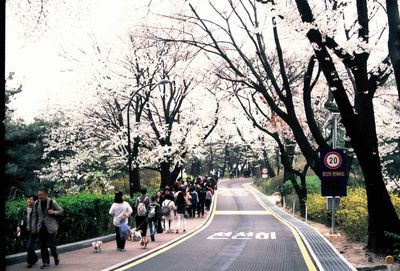 Road amidst trees against sky