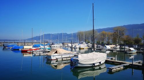 Sailboats moored at harbor against clear blue sky