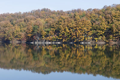 Scenic view of lake in forest against sky