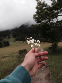 Cropped hand of person holding white flower against trees in foggy weather