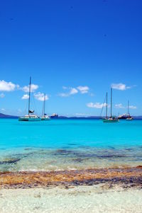 Sailboats on sea against sky