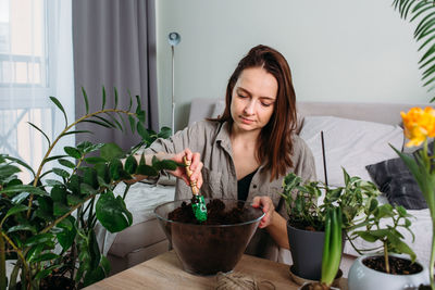 Young woman is transplanting houseplant. spring fertilizer for home flowers