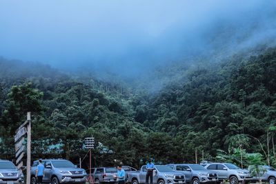 Cars on road in forest against sky