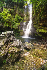 Scenic view of waterfall in forest