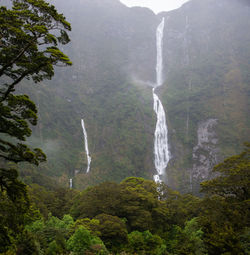 Scenic view of waterfall in forest