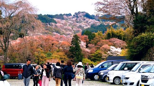 Tourists on mountain