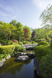 Scenic view of lake in garden against sky