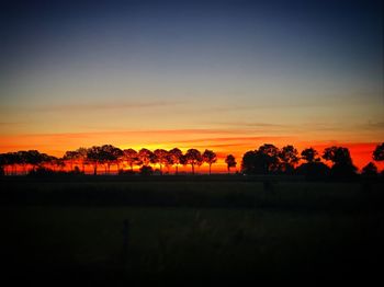 Silhouette trees on field against orange sky