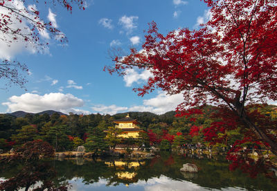Scenic view of cherry tree by lake against sky during autumn