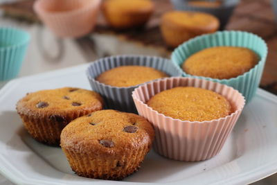 Gluten free carrot cupcakes with drops of chocolate just out of the oven.