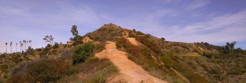 Panoramic view of trees on mountain against sky