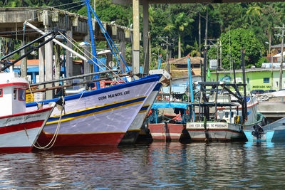 Fishing boats moored at harbor