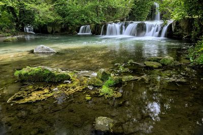 Idyllic view of waterfall in forest