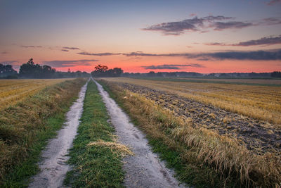 Country road through stubble field, horizon and colorful clouds on the sky