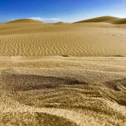 Sand dune in desert against sky