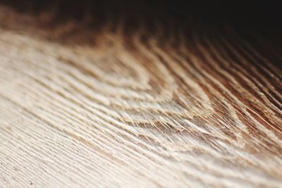 Extreme close up of wood